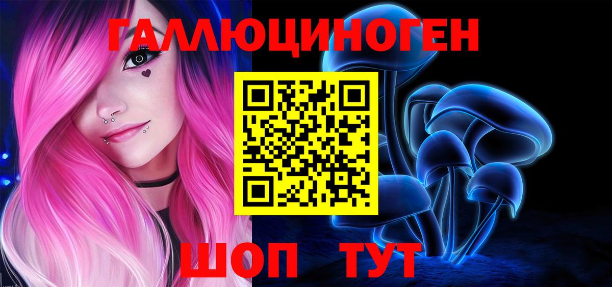 Псилоцибиновые грибы Psilocybe Воркута